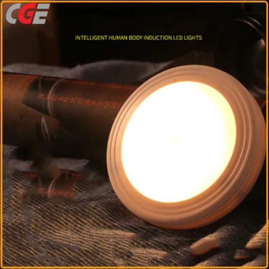 LED Sensor Human Body Intelligent Cabinet Light LED Wardrobe Light