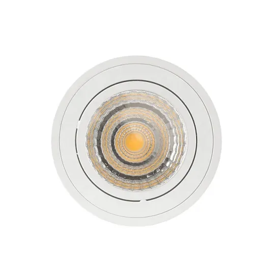 LED Downlight Module - Smart 8W to 40W COB Cylinder Light