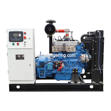 Small Biogas to Electricity Generators for Farm Use - 10kw to 100kw
