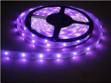 Promotional Led Strip Light 3528 / 5050 Smd Rgb Led Lighting With Remote Controller