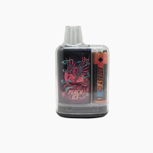 VAPE NIC SALT Original Jec Box 6000 puffs Custom Label Factory