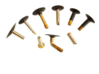 GT SW Bicycle Valves