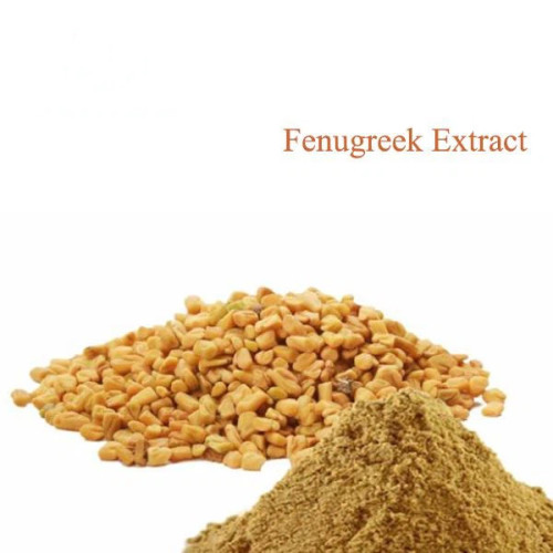 Natural Fenugreek Seed Extract Fenugreek Saponins