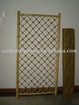 Bamboo fence Sun-023