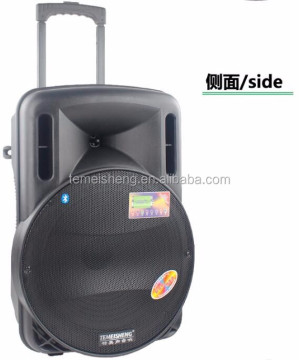 Temeisheng 150W Outdoor Subwoofer Speaker System