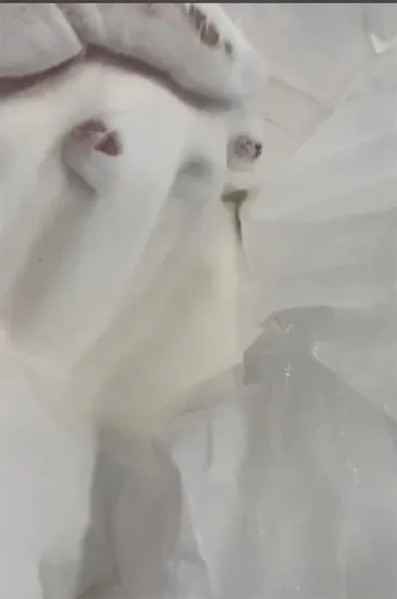 Zhongtai PVC Resin Special for Rigid Transparent Film