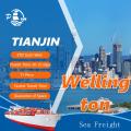 Maritime Shipping from Tianjin to Wellington