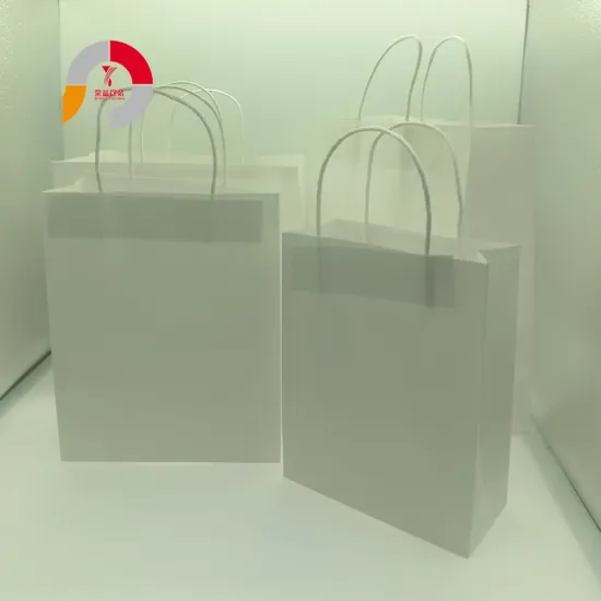 Custom Logo Shopping Paper Bag with Handle