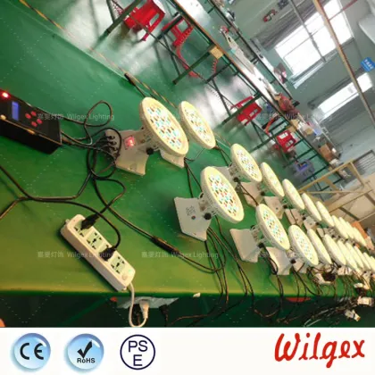 Chauvet Led Wash Light