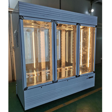 Kolice 3 Door Display Refrigerators for Aging Beef Ribeye and Striploin