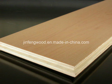 Melamine Dinner Wear Panel