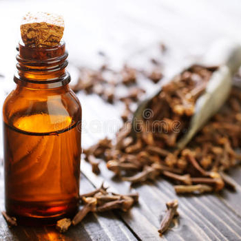 8000-34-8, essential clove oil, clove stem oil in cosmetics, flavor fragrance oil