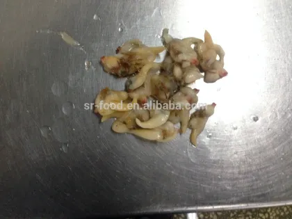IQF Surrf clam/short necked clam meat