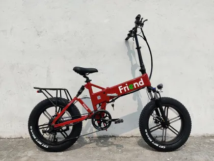 750W Rear Drive Motor Cheap Electric Moped Bike 20" Cruiser E-Bike