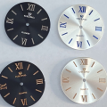 Roman Numerals Sunray Dial For Watch