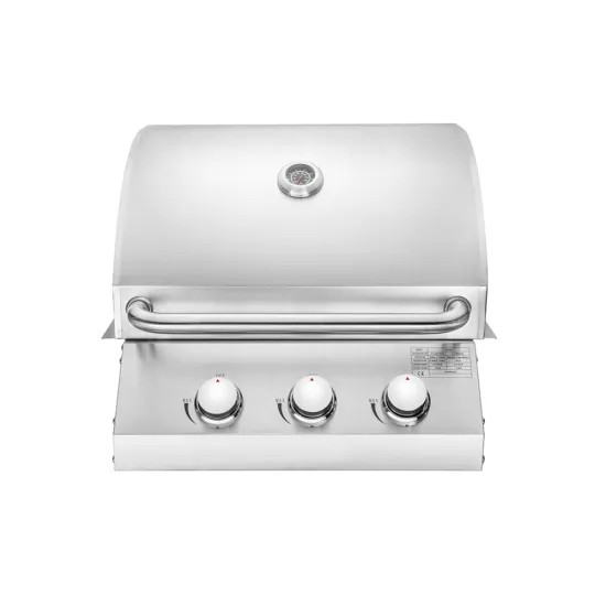 Professional Built in Gas BBQ Grill