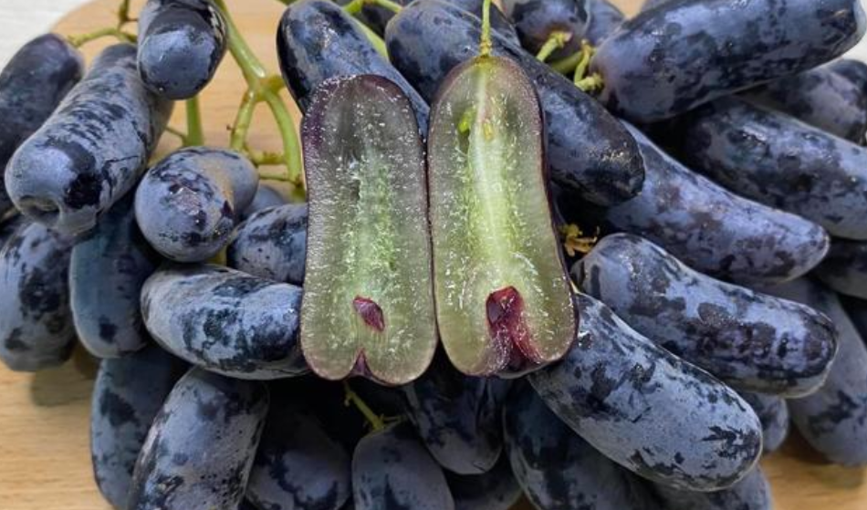 Ziyu Tianzhu Grape