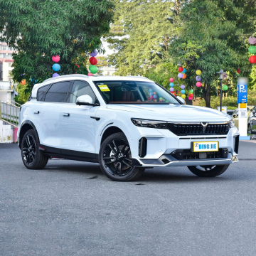 2024 Voyah Free 4WD Electric SUV: Large Space & Super Long Range
