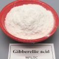 สารควบคุมการเจริญเติบโตของพืช จิบเบอเรลลินส์ GA4+7 90%TC