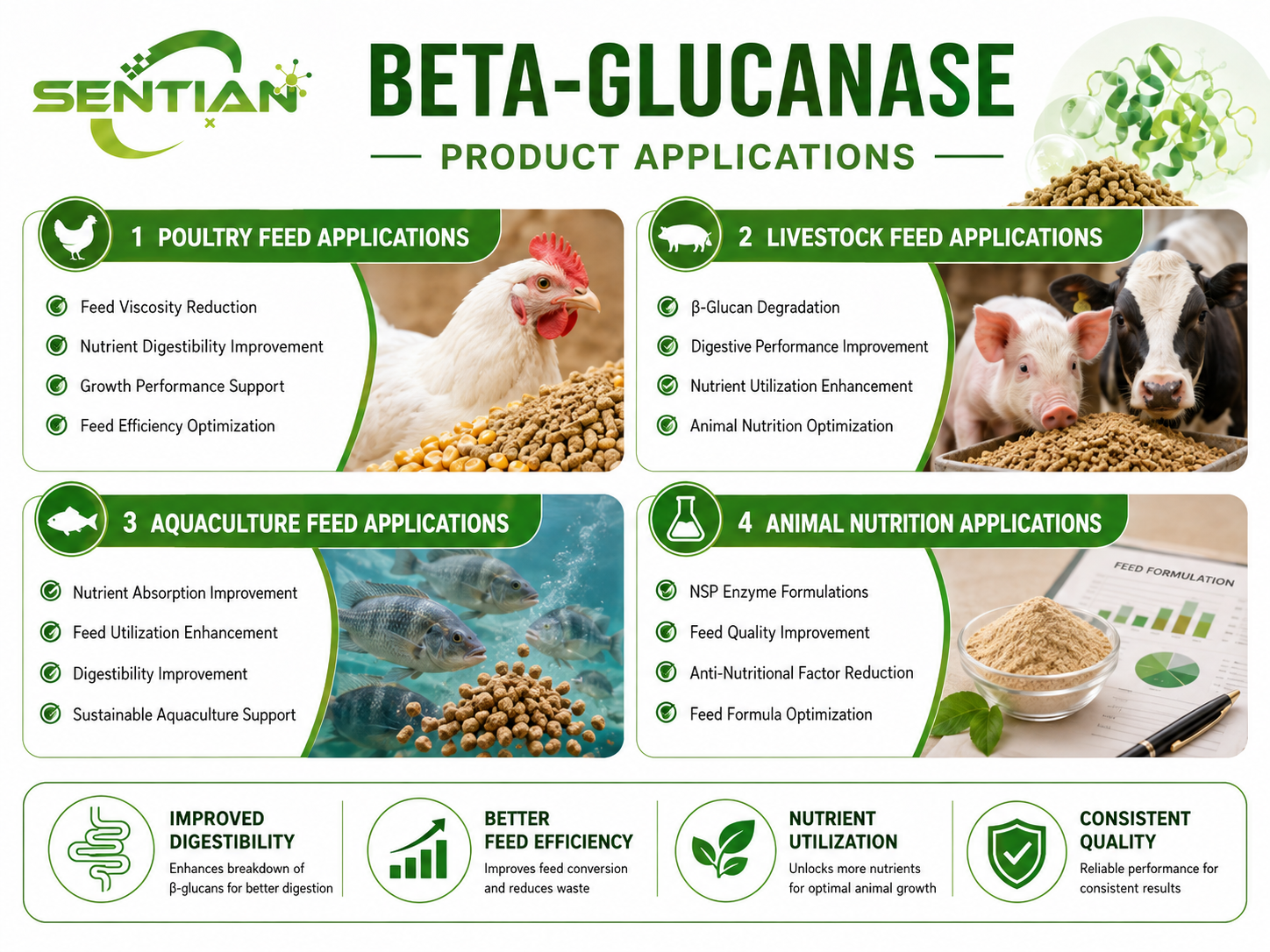 Beta-glucanase2