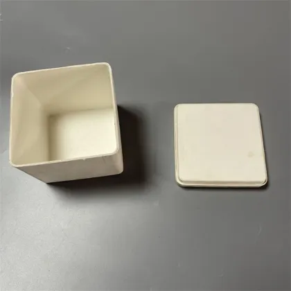 Biodegradable Bagasse Material White Tea Leaf Pulp Box