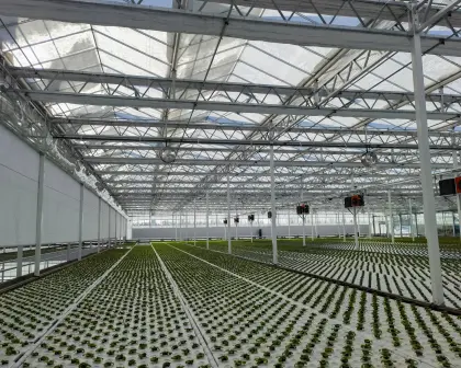 Seedling Raising Multi Type Agricultural Planting Greenhouse