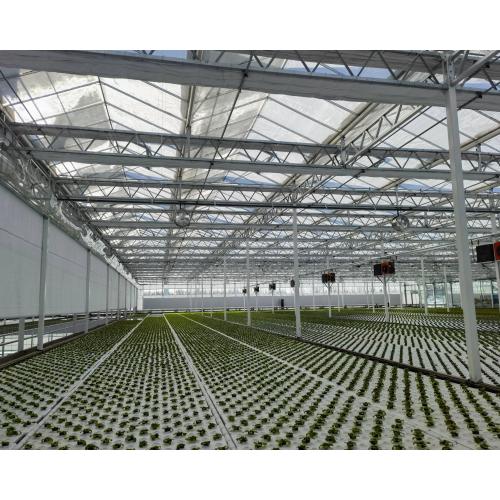 Multi-Crop Seedling Greenhouse