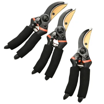 Garden Shears - Pruners and Scissors for Efficient Gardening