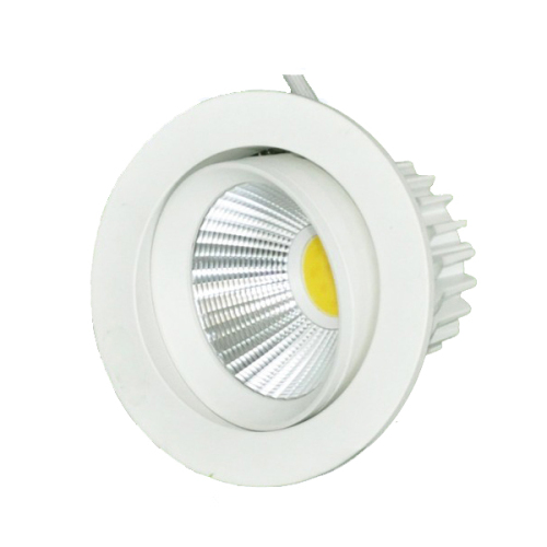 COB High Power Adjustable LED Downlight 30W