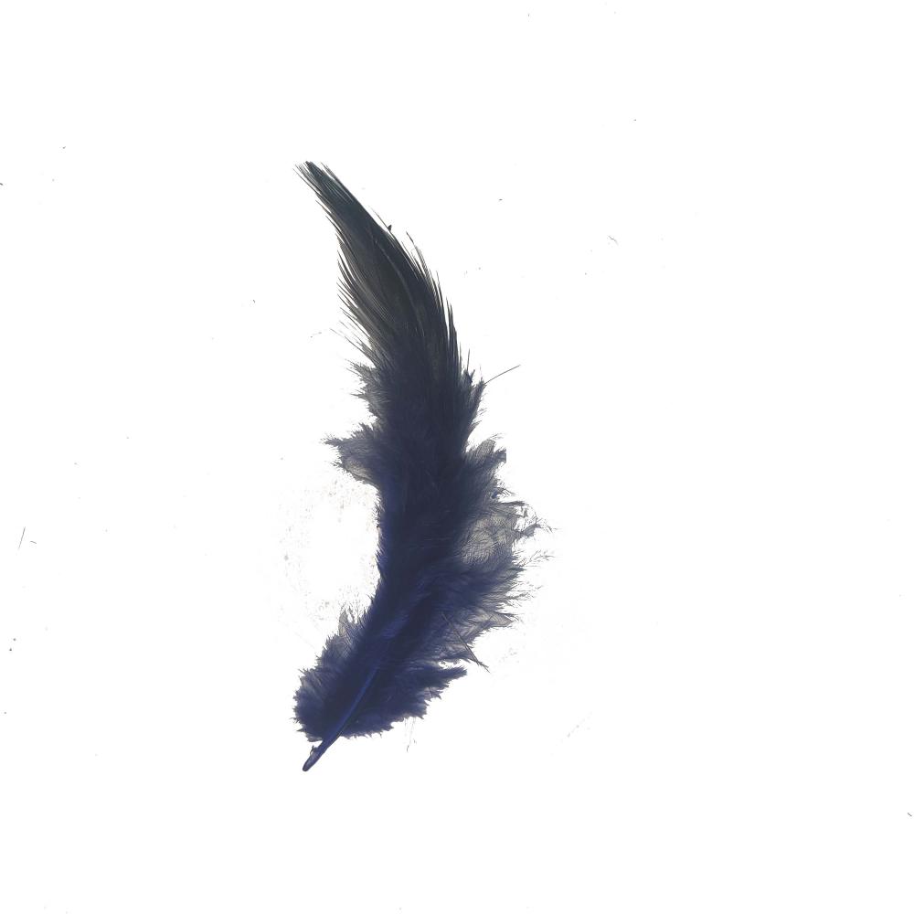 Blue Feather