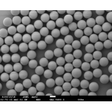 Reversed Phased Polymeric Resin InVent PS 5