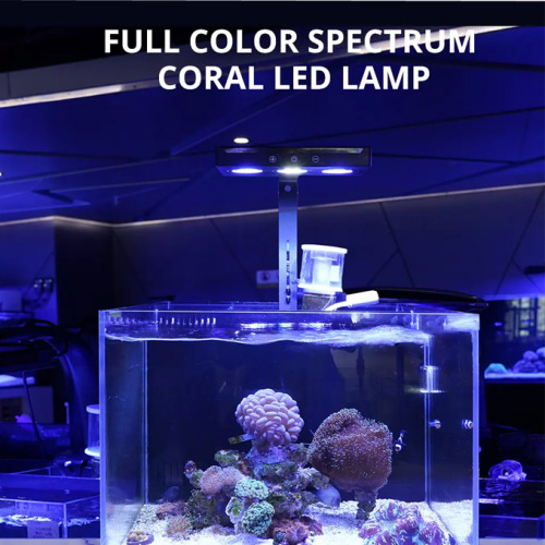 Lampada a led della barriera corallina per corallo