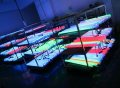 Wasserdichtes DMX RGB führte digitales Schlauchlicht 3watt