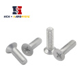 Hot Sale Stainless Steel Plow Bolt