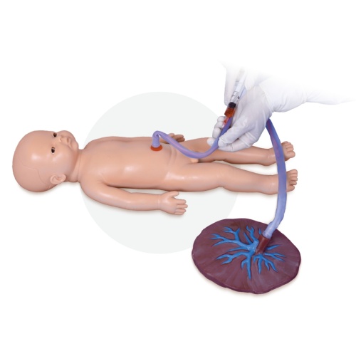 Umbilical Cord Nursing Umbilical Cord Nursing Simulator(Male) Factory