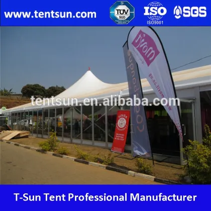 GuangZhou T-SUN big ridge tent with peak for sale