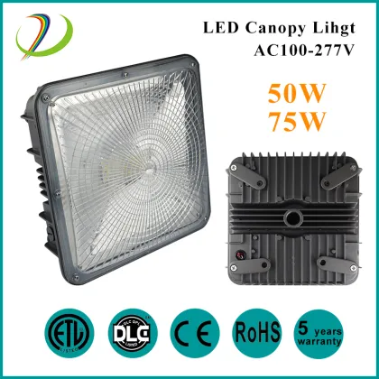 MEAN WELL Driver 75W LED Canopy Light