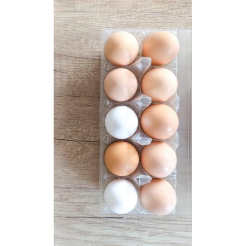 PVC Blister Kemasan Baki Blister Telur Plastik