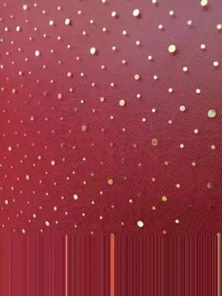 Thin mesh cloth ironing film little stars multicolor gauze skirt fabric