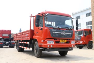 Dongfeng Light Cargo Truck dengan manual