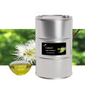 Óleo de Cajeput 100% puro Organo orgânico natural Extrato de óleo de grau terapêutico Óleo essencial 10 ml OEM/ODM
