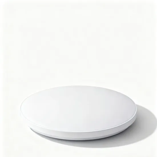 Modern Minimalist LED Ceiling Light