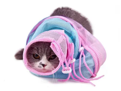 Wash the cat bag and take a bath