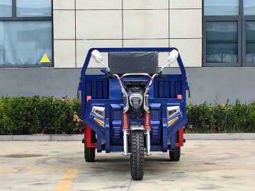 Efficient Three Drive Electric Tricycle Battoid QJ180
