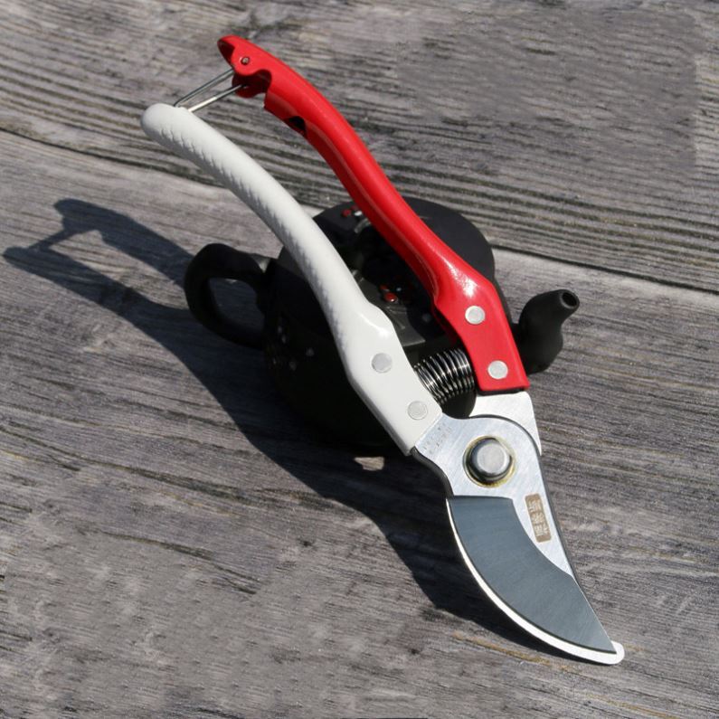 Professional trimming scissors garden bonsai grafting pruning tools garden scissors