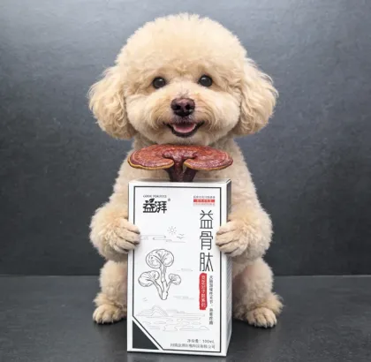 Pet Orthopedic Rehabilitation Nutrition