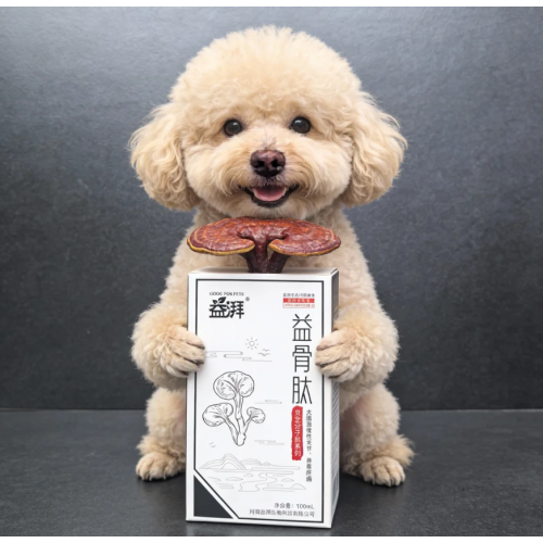 Nutrição para reabilitação ortopédica de animais de estimação