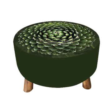 Sgabelli di legno verde