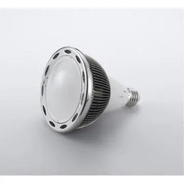 PAR38 LED Spot Lights