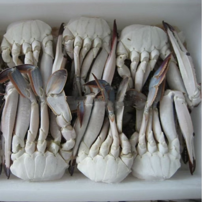 Halb geschnittene Krabben Marine Meeresfrüchte Delikatesse